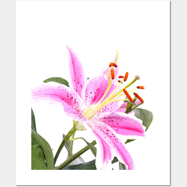 Pink Lily Illustration Wall Art by Alemi